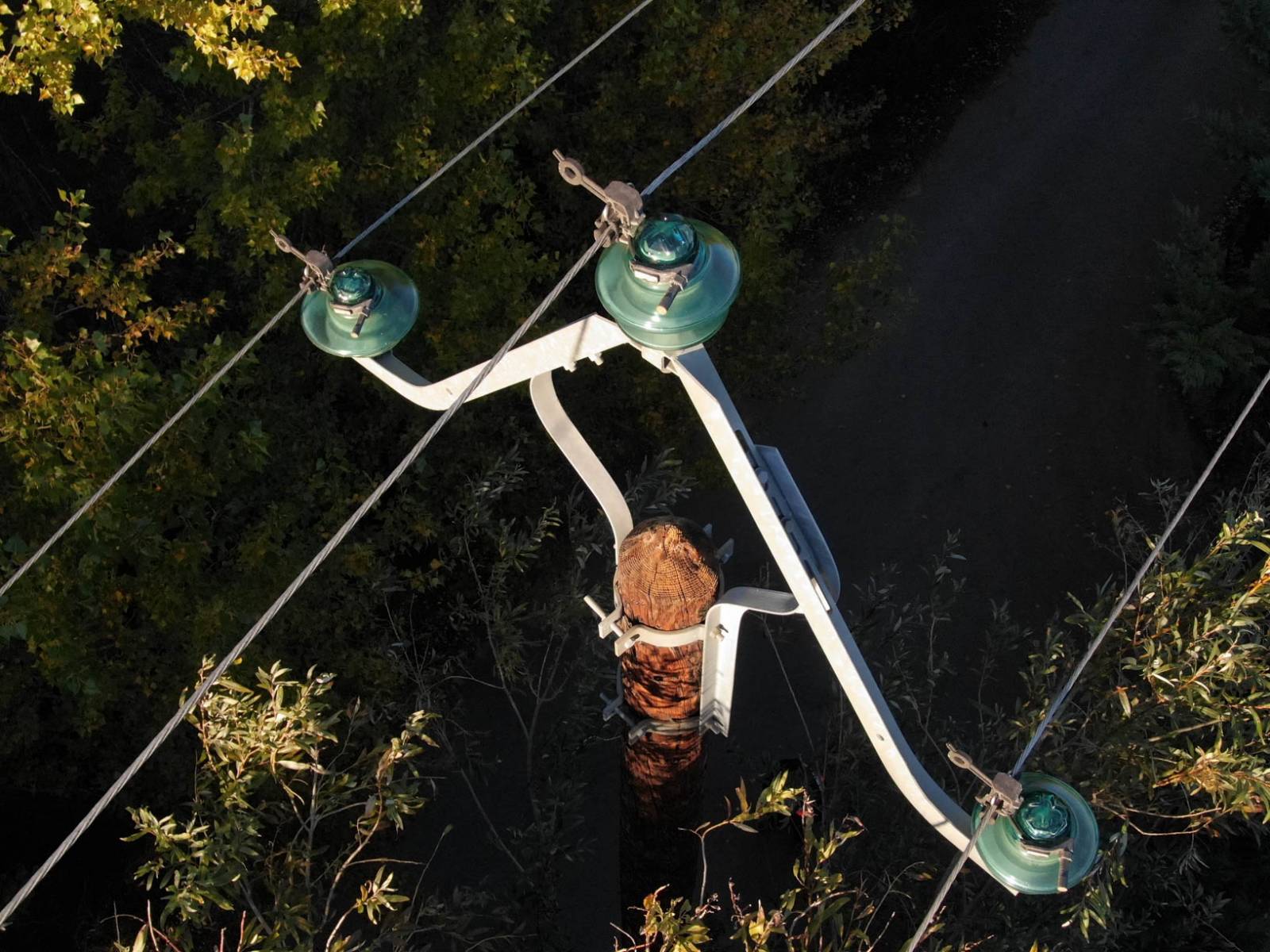 Pylone au milieu de la végétation